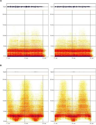 Auditory Stimulation Training With Technically Manipulated Musical Material in Preschool Children With Specific Language Impairments: An Explorative Study